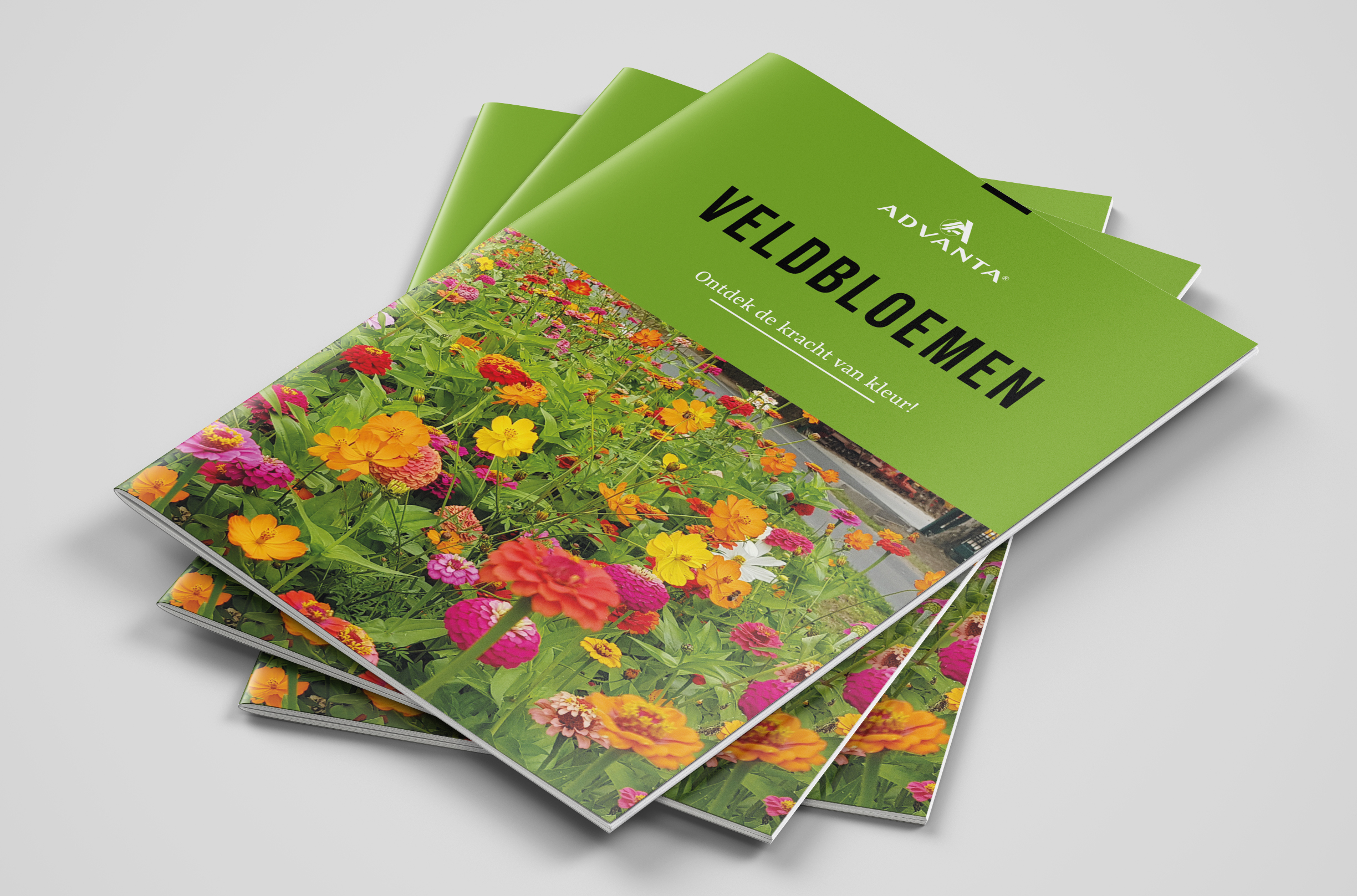 Veldbloemen brochure
