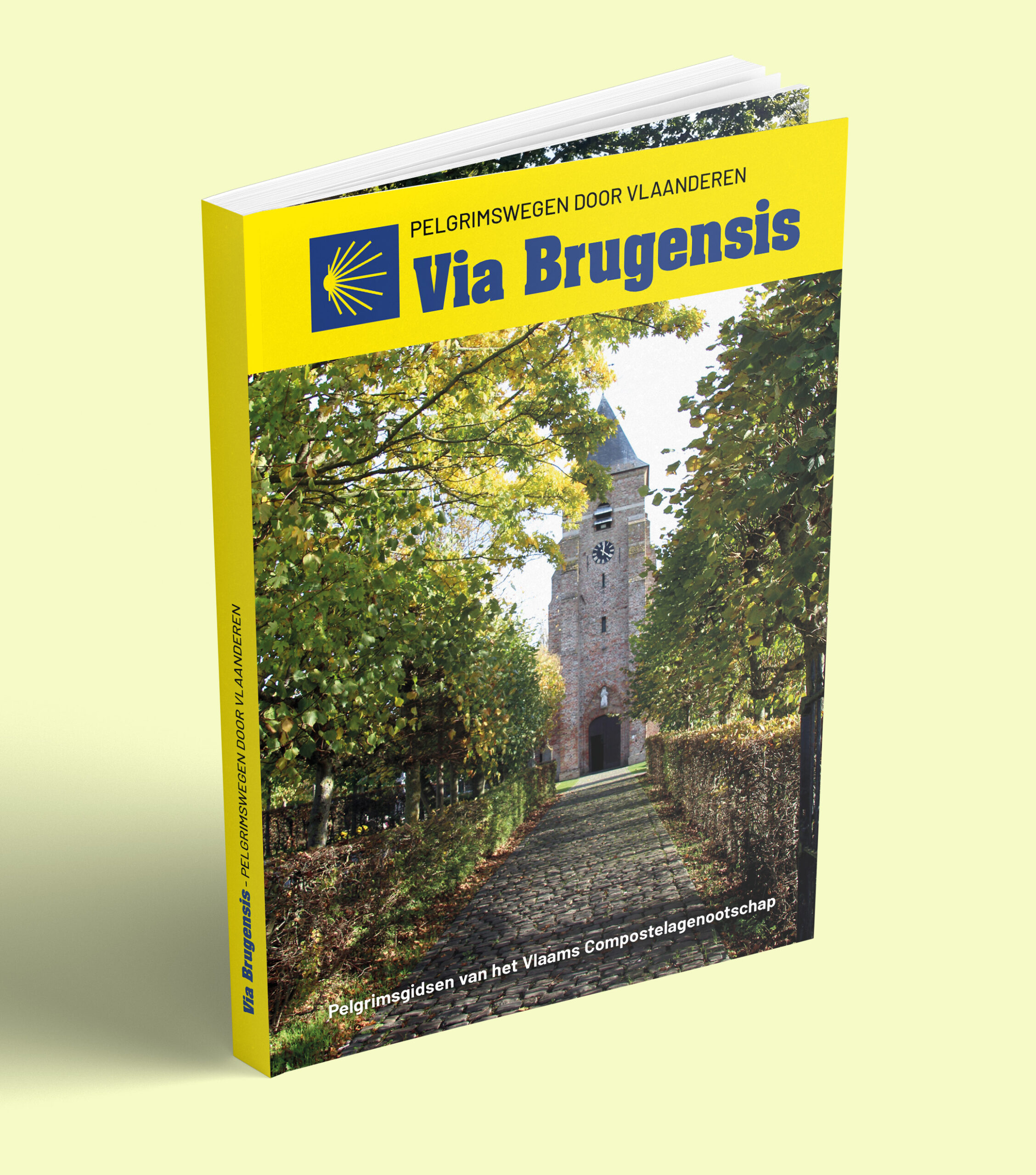 Compostela Brugensis-Yprensis